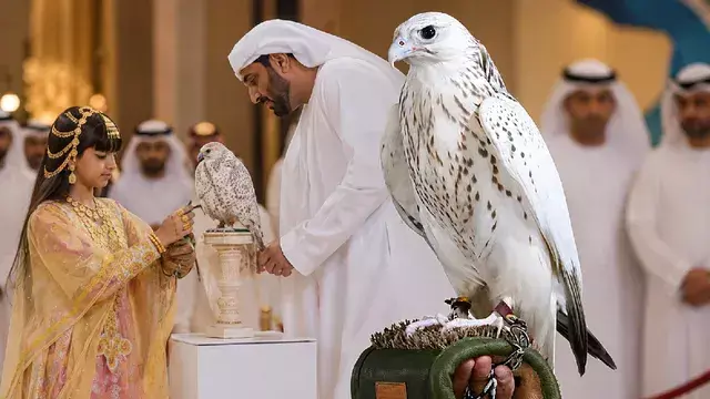 Abu Dhabi Falcon Auction: भतीजी के लिए शेख ने लगा दी करोड़ों की बोली, 1.5 मिलियन दिरहम में ख़रीदा सफेद बाज; जानिए क्यों है इतना क्रेज