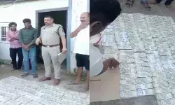 CG News : लकड़ी तस्करी केस में बड़ी कार्रवाई, आरोपी के घर से 81 लाख रुपये नकद बरामद