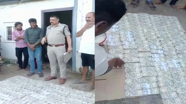 CG News : लकड़ी तस्करी केस में बड़ी कार्रवाई, आरोपी के घर से 81 लाख रुपये नकद बरामद