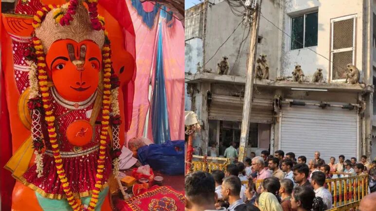 Ujjain Khade Hanuman Mandir : खड़े हनुमान मंदिर के पास अचानक पहुंची लंगूरों की टोली, वायरल वीडियो के बीच उमड़ी श्रद्धालुओं की भीड़