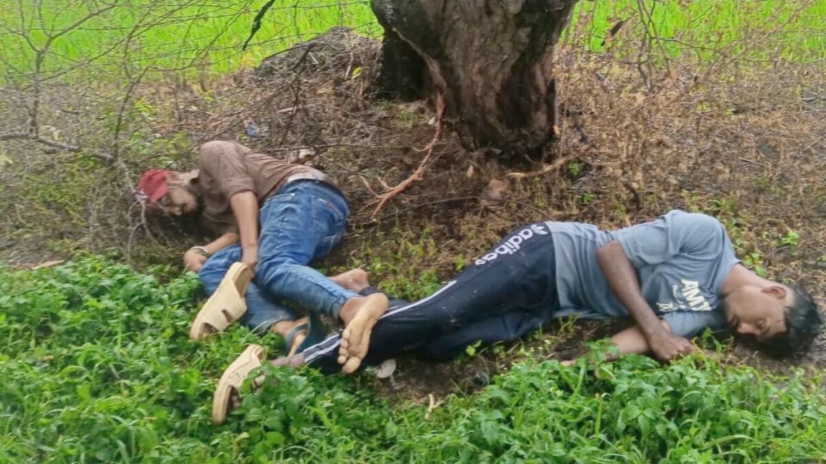 CG News : पेड़ के नीचे बारिश से बचना पड़ा भारी, आकाशीय बिजली की चपेट में आने से एक की मौत, दूसरा गंभीर