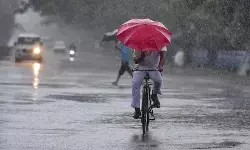 CG Weather Update: छत्तीसगढ़ में बारिश का दौर जारी, रायपुर समेत कई जिलों में आज भी बरसेंगे बादल; सोमवार के बाद कम होगी मानसूनी गतिविधियां