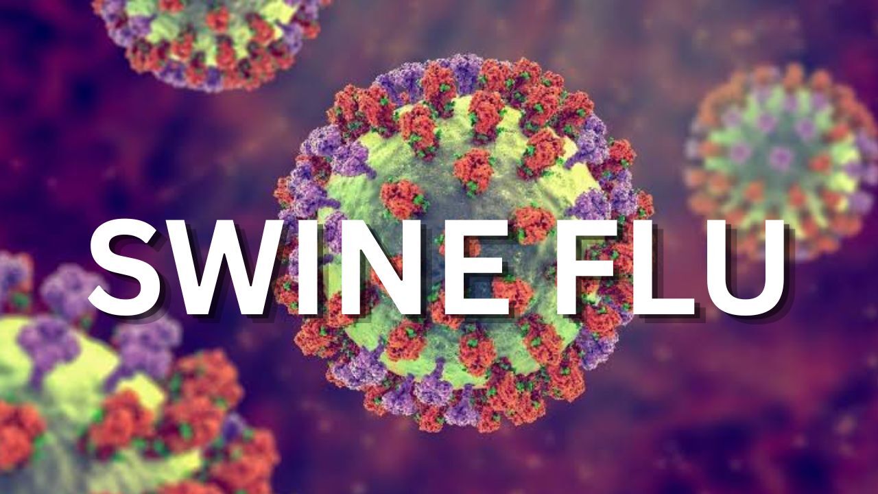 MP Swine Flu Alert: भोपाल में स्वाइन फ्लू से पहली मौत, प्रदेश में 65 मरीज मिले; स्वास्थ्य विभाग सतर्क