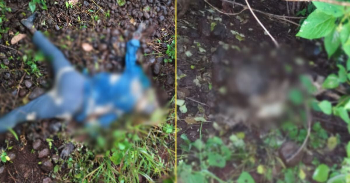 MP News : खेत में नाबालिग युवती और युवक के कंकाल मिलने से फैली सनसनी, प्रेम प्रसंग या कुछ और? जांच जारी
