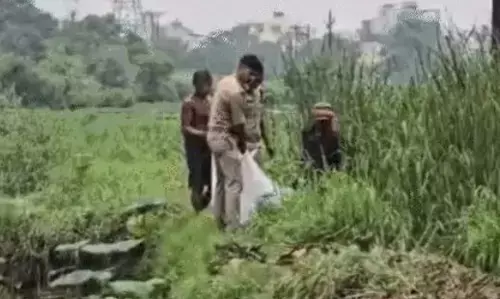 Raipur Crime News: रायपुर में गर्लफ्रेंड को पेट्रोल डालकर जिंदा जलाया, फरार आरोपी की तलाश में CCTV फुटेज खंगाल रही पुलिस Raipur Crime News: रायपुर में गर्लफ्रेंड को पेट्रोल डालकर जिंदा जलाया, फरार आरोपी की तलाश में CCTV फुटेज खंगाल रही पुलिस