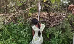 CG News : डिलीवरी के चार दिन बाद प्रसूता ने लगाई फांसी, आत्महत्या की वजह अब भी स्पष्ट नहीं