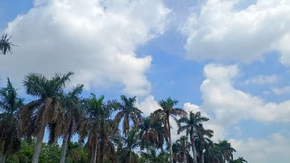 CG Weather : छत्तीसगढ़ में फिर बदलेगा मौसम, 19 सितंबर से बढ़ेगी बारिश की रफ्तार, कई इलाकों में वज्रपात का अलर्ट