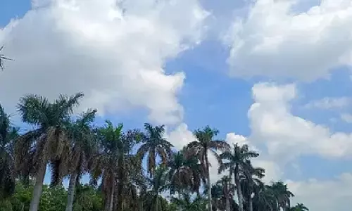 CG Weather : छत्तीसगढ़ में फिर बदलेगा मौसम, 19 सितंबर से बढ़ेगी बारिश की रफ्तार, कई इलाकों में वज्रपात का अलर्ट