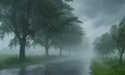 CG Weather : गर्मी से राहत की उम्मीद, 19 सितंबर से फिर बढ़ेगी बारिश की रफ्तार