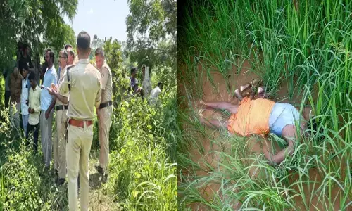 CG News : खेत की रखवाली करने गया किसान करंट की चपेट में आया, मौके पर मौत, इलेक्ट्रिक फेंसिंग को लेकर उठे सवाल