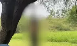 UP Crime : पेड़ से लटके मिले युवक-युवती के शव, एक ही साड़ी से बने थे फंदे, हत्या या आत्महत्या, जांच में जुटी पुलिस