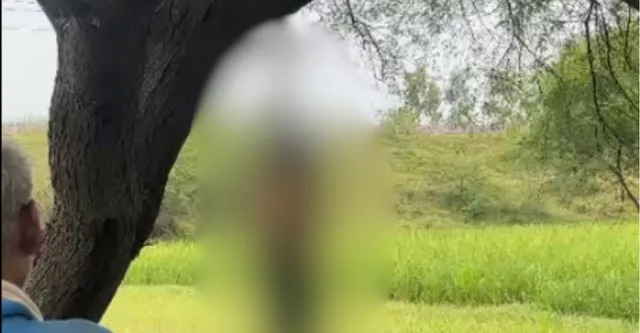 UP Crime : पेड़ से लटके मिले युवक-युवती के शव, एक ही साड़ी से बने थे फंदे, हत्या या आत्महत्या, जांच में जुटी पुलिस