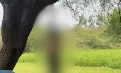 UP Crime : पेड़ से लटके मिले युवक-युवती के शव, एक ही साड़ी से बने थे फंदे, हत्या या आत्महत्या, जांच में जुटी पुलिस