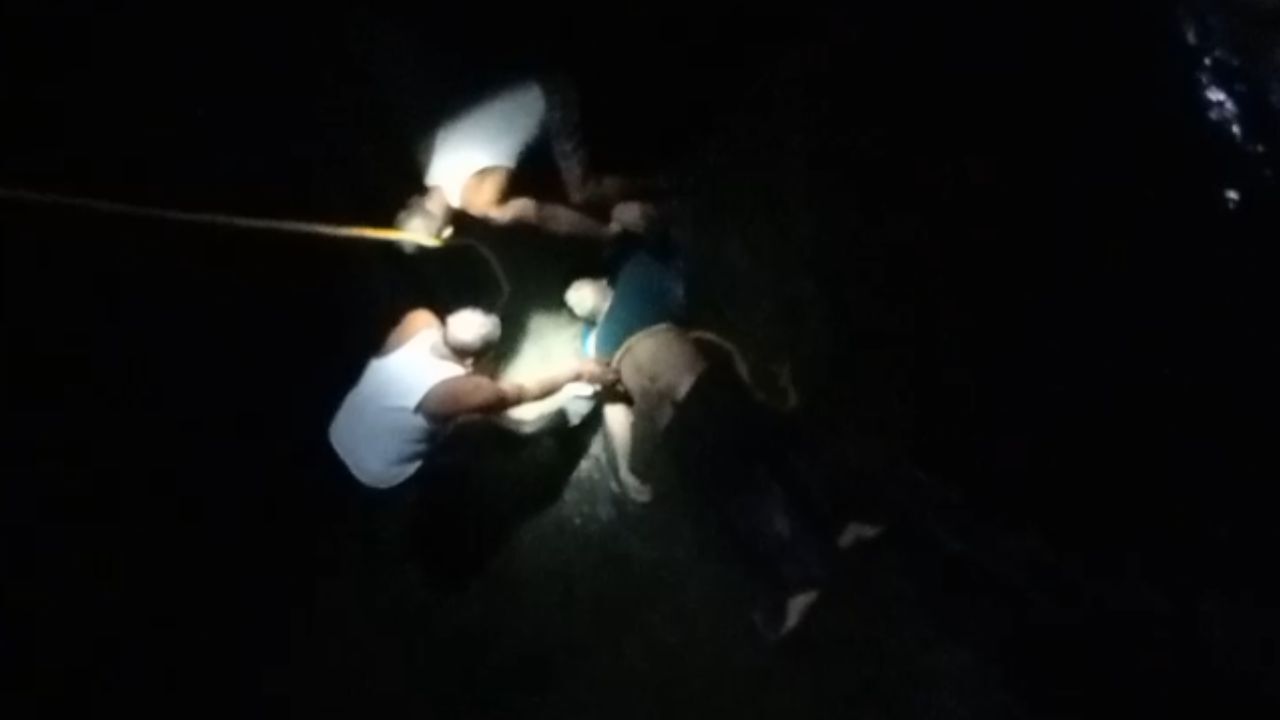 MP : युवक ने नाले में लगाई छलांग, डूबने से मौत; पुलिस ने 4 को लिया हिरासत में