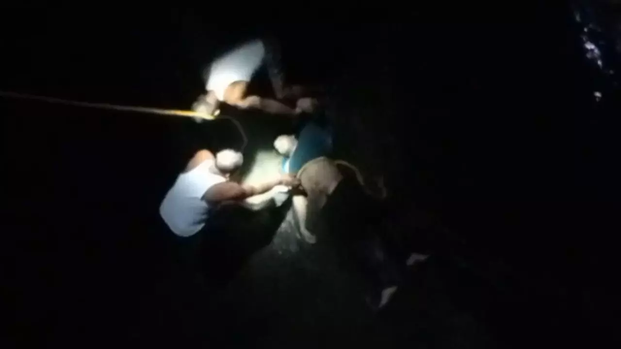 39596-mp-23 MP : युवक ने नाले में लगाई छलांग, डूबने से मौत; पुलिस ने 4 को लिया हिरासत में