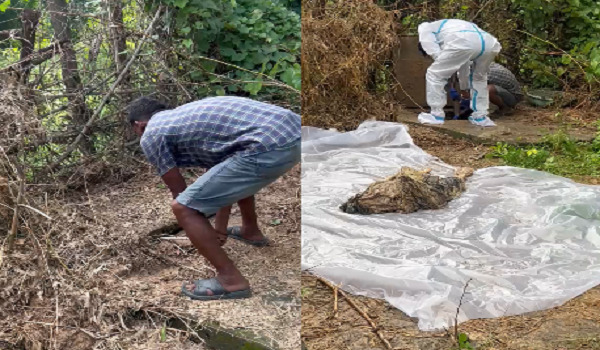 CG Crime : पति पर पत्नी की हत्या का आरोप, सेप्टिक टैंक में छिपाया शव, 23 दिन बाद सामने आया मामला