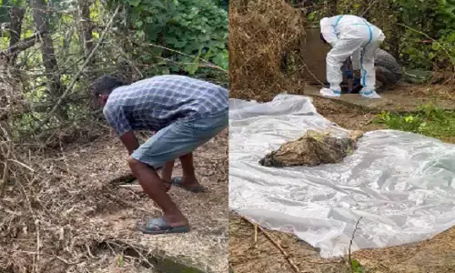 CG Crime : पति पर पत्नी की हत्या का आरोप, सेप्टिक टैंक में छिपाया शव, 23 दिन बाद सामने आया मामला