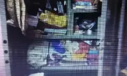 Jharkhand Crime : टाटा स्टील कर्मी के बंद क्वार्टर को चोरों ने बनाया निशाना, 50 लाख के जेवरात और नकदी चोरी