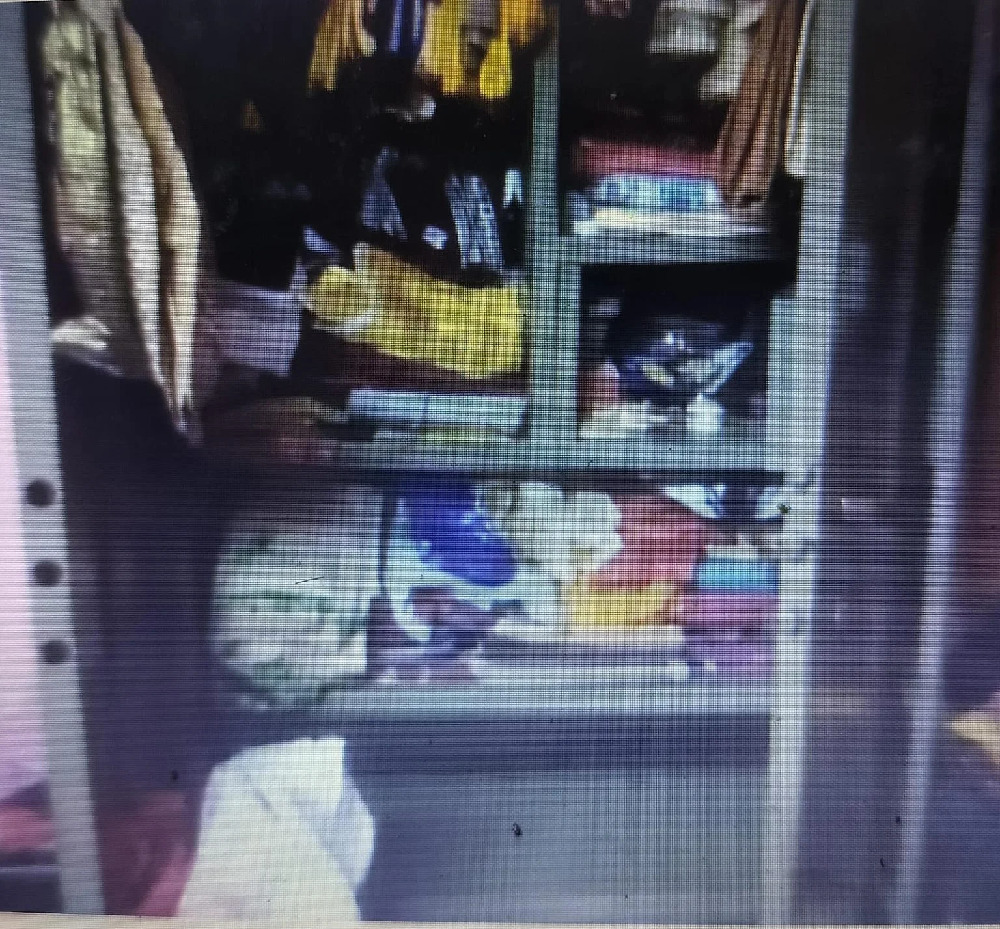 Jharkhand Crime : टाटा स्टील कर्मी के बंद क्वार्टर को चोरों ने बनाया निशाना, 50 लाख के जेवरात और नकदी चोरी