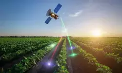 Chhattisgarh Paddy Satellite GIS Digital Crop Survey: अब सैटेलाइट बताएगा खेत में धान है या नहीं, छत्तीसगढ़ में GIS और रिमोट सेंसिंग से होगी पहचान