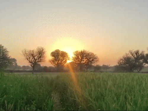 CG Weather : छत्तीसगढ़ में थमी बारिश की रफ्तार, राजनांदगांव सबसे गर्म, अगले 5 दिन कैसा रहेगा मौसम?
