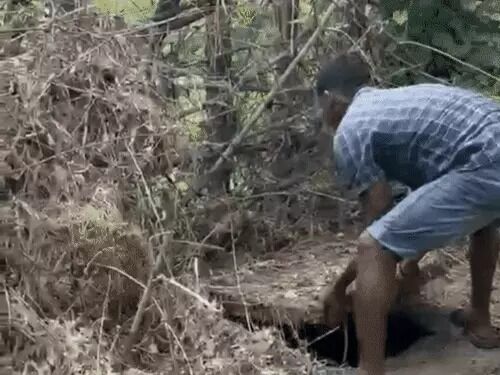 KORBA LIVE-IN PARTNER MURDER CASE : गर्लफ्रेंड की हत्या कर सेप्टिक टैंक में छिपाने वाला लिव-इन पार्टनर अंबिकापुर से गिरफ्तार, जानें क्या है मामला