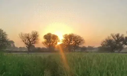 CG Weather : छत्तीसगढ़ में थमी बारिश की रफ्तार, राजनांदगांव सबसे गर्म, अगले 5 दिन कैसा रहेगा मौसम?