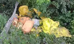 CG Crime: ट्रक हादसे ने खोला तस्करी का राज, 238 किलो गांजा के साथ चालक गिरफ्तार