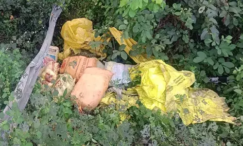 CG Crime: ट्रक हादसे ने खोला तस्करी का राज, 238 किलो गांजा के साथ चालक गिरफ्तार