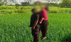 CG News : खेत में एक ही फंदे पर मिले प्रेमी जोड़े के शव, दो बच्चों का पिता था युवक, जांच में जुटी पुलिस