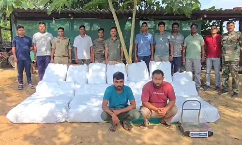 CG Crime : मिर्ची की बोरियों के नीचे छिपा था 440 किलो गांजा, 2 करोड़ से ज्यादा का माल जब्त, दो आरोपी गिरफ्तार