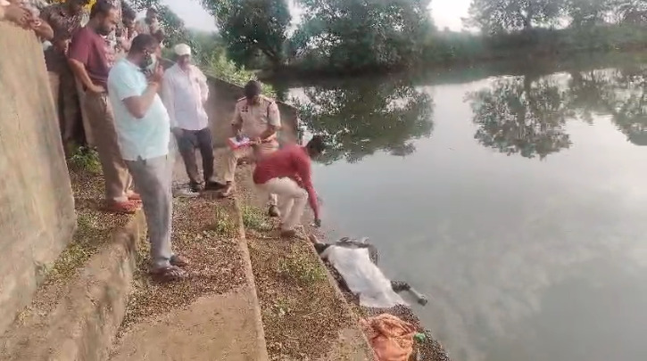 CG News : तालाब में तैरती मिली लापता युवती की लाश, पुलिस जांच में जुटी