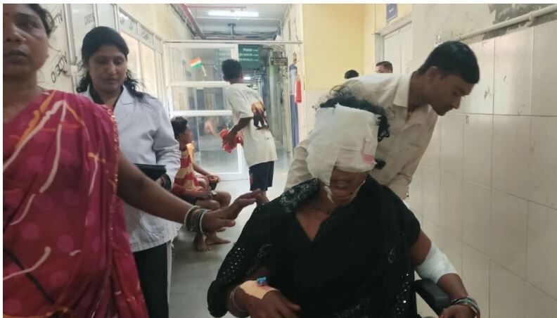 Mahasamund Leopard Attack: घर में घुसा तेंदुआ, 6 लोगों पर किया हमला, परिवार ने हिम्मत दिखाकर कमरे में किया बंद, रायपुर से बुलाई स्पेशल रेस्क्यू टीम