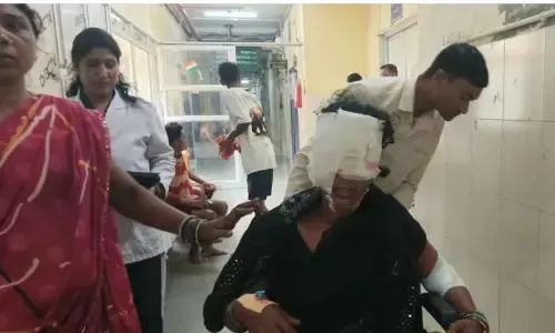 Mahasamund Leopard Attack: घर में घुसा तेंदुआ, 6 लोगों पर किया हमला, परिवार ने हिम्मत दिखाकर कमरे में किया बंद, रायपुर से बुलाई स्पेशल रेस्क्यू टीम