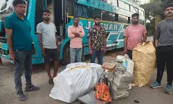 CG Crime : स्लीपर बस से 245 किलो गांजा बरामद, चालक समेत 2 गिरफ्तार, 1.73 करोड़ का माल जब्त CG Crime : स्लीपर बस से 245 किलो गांजा बरामद, चालक समेत 2 गिरफ्तार, 1.73 करोड़ का माल जब्त