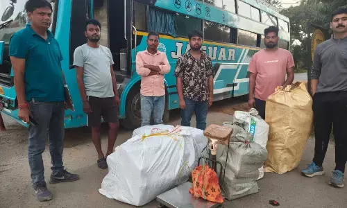 CG Crime : स्लीपर बस से 245 किलो गांजा बरामद, चालक समेत 2 गिरफ्तार, 1.73 करोड़ का माल जब्त