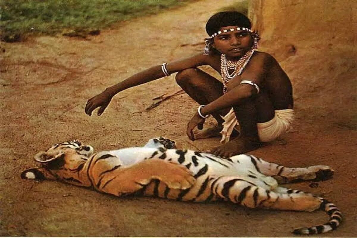 छत्तीसगढ़ में ‘चेन्दरू’ पुरस्कार की घोषणा, विनर को मिलेंगे 1 लाख रुपए, राज्योत्सव में होगा सम्मान