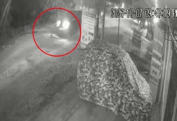 CG Accident : सड़क पर लेटते ही युवक को वाहन ने कुचला, मौके पर मौत, CCTV फुटेज आया सामने