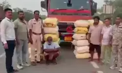 CG Crime : NH-53 पर 560 किलो गांजा जब्त, 2.80 करोड़ की खेप के साथ महाराष्ट्र के दो तस्कर गिरफ्तार