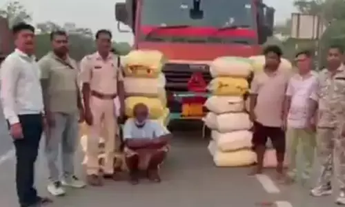 CG Crime : NH-53 पर 560 किलो गांजा जब्त, 2.80 करोड़ की खेप के साथ महाराष्ट्र के दो तस्कर गिरफ्तार