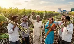 CG News : साय सरकार का बड़ा निर्णय, गन्ना किसानों को दी बड़ी राहत, अब 425 प्रति क्विंटल की दर से होगी खरीदी