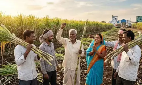 CG News : साय सरकार का बड़ा निर्णय, गन्ना किसानों को दी बड़ी राहत, अब 425 प्रति क्विंटल की दर से होगी खरीदी