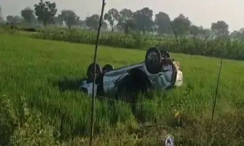 Janjgir Champa Road Accident: नाले के पास पलटी कार, युवक की मौके पर मौत, एक-दो दिन पहले ही खरीदी थी गाड़ी