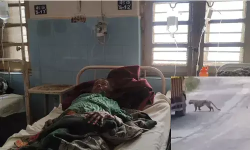 CG News : छत्तीसगढ़ में तेंदुओं का आतंक, धमतरी में 3 तो बस्तर बुडरा में 5 लोगों पर किया हमला