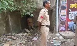 MP Crime : 12 साल की बच्ची की खंडहर में मिला शव, पुलिस जांच में जुटी