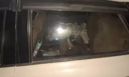 MP News : स्टेशन की पार्किंग में खड़ी कार से मिले दो सगे भाइयों के शव, पिता की भी रेलवे ट्रेक में मिली लाश MP News : स्टेशन की पार्किंग में खड़ी कार से मिले दो सगे भाइयों के शव, पिता की भी रेलवे ट्रेक में मिली लाश
