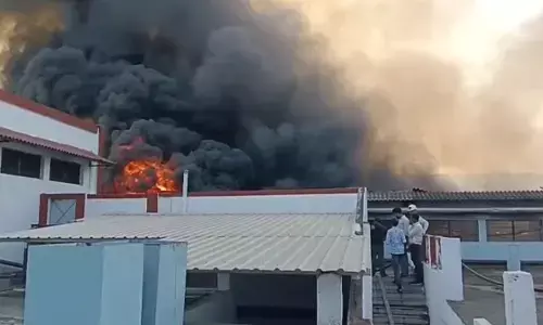 Parle G Factory Fire: पारले-जी फैक्ट्री के गोदाम में लगी भीषण आग, करोड़ों के नुकसान की आशंका