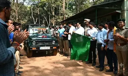 Kanger Valley National Park Safari: बस्तर में पर्यटन सीजन शुरू, पर्यटक ले सकेंगे जिप्सी सैर, कोटमसर गुफा और बम्बू राफ्टिंग का आनंद