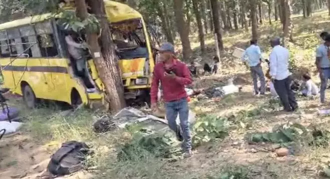 Chhattisgarh Bus Accident: पेड़ से टकराई बस, 5 की मौत, 32 घायल