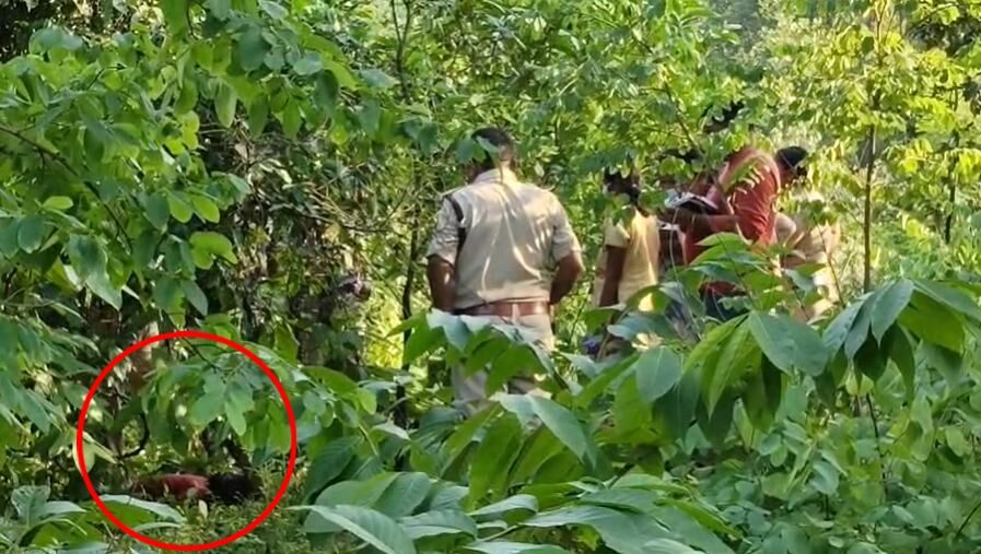 CG Crime : तीन दिन से लापता बच्ची का झाड़ियों में मिला शव, हत्या की आशंका से मचा हड़कंप